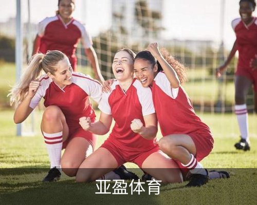 亚盈体育(中国)官方网站 - YAYING SPORTS体育的故事 